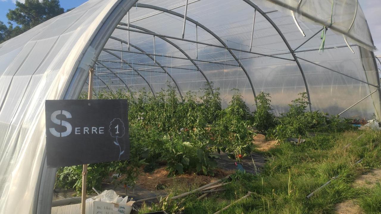 Eco-Gite A La Ferme D'Elles Saint-Andre-de-l'Epine Luaran gambar